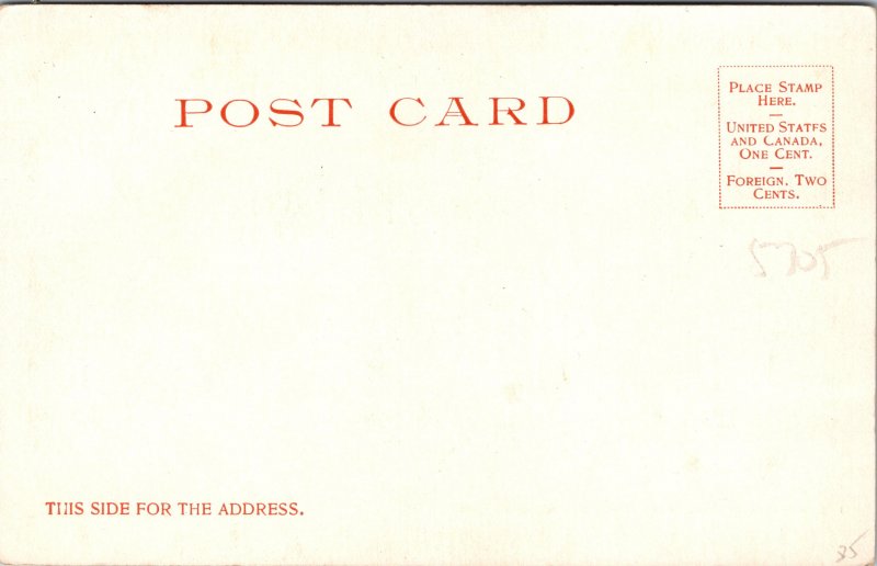 Detroit MI Central Ave Belle Isle Park Postcard unused 1903