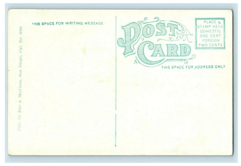 C.1920 Alligator Head LaJolla Beach Breakers, CA Postcard P186