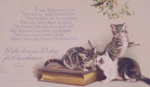 Helena Maguire Cats Kittens Mistletoe Antique Vintage Christmas Postcard