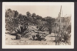 Texas El Pasco - Wm Beaumont Gen. Hosp. - Cactus Garden - EKC stamp box RPPC