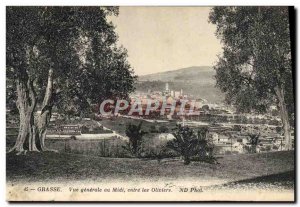 Old Postcard Grasse View Generalde the Midi Between the Olives