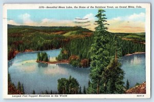 c1944 Grand Mesa Colorado Postcard Mesa Lake Home Rainbow Trout Topped Mountain
