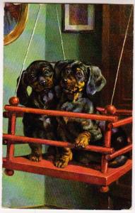 Two Dogs in a Swing