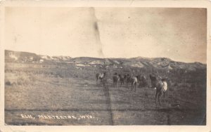 J31/ Meeteetse Wyoming Postcard RPPC c1910 Elk Herd Mountains 20