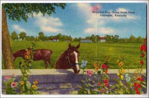 Blue Cross Stock Farm, Lexington KY    (crease)