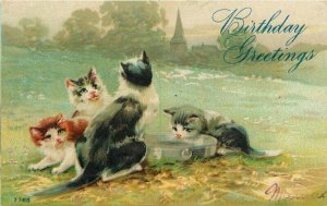 Arrtst Impression #7768 Birthday Cats C-1910 Postcard 20-6135