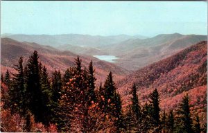 Postcard MOUNTAIN SCENE Asheville North Carolina NC AL5986