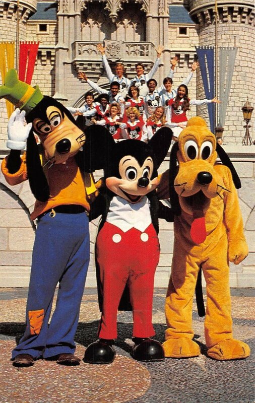 US3001 Kids and Characters, Kingdom Walt Disney World mickey pluto goofy