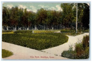 1916 City Park Field Exterior View Grass Sheldon Iowa Vintage Antique Postcard