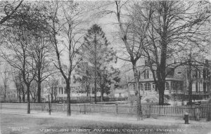 J30/ College Point New York Postcard c1910 First Avenue Homes Fence 103