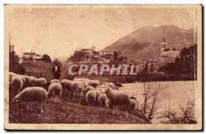 Old Postcard Lourdes Sheep