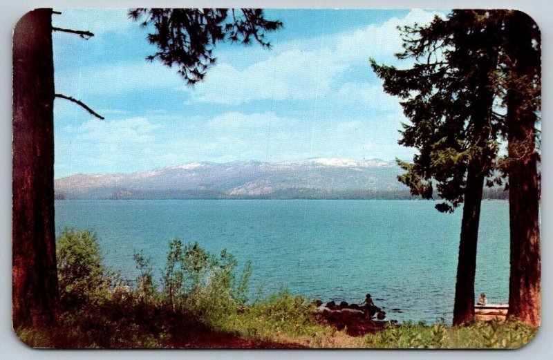 Payette Lake  McCall  Idaho   Postcard