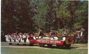 Tommy Bartlets Deer Ranch in Silver Springs Florida