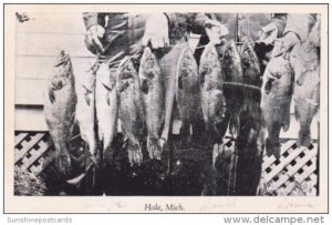 Fishing Days Catch Hale Michigan 1949 Real Photo