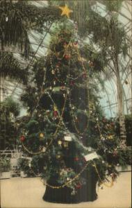 Cincinnati OH Irwin Krohn Conservatory Christmas Tree Hand Colored Postcard