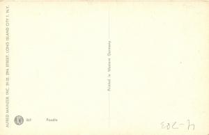 Dog -  Poodle (White)