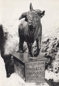 Bull Mythological Statue Musee Rolin Autun French Postcard