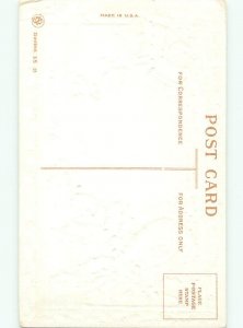 Divided-Back CHRISTMAS BIRDS SCENE Pretty Postcard W8533