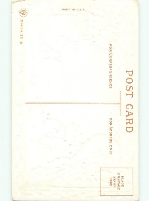 Divided-Back CHRISTMAS BIRDS SCENE Pretty Postcard W8533