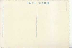 Scotland Postcard - Inver Caravan Site - Perthshire - Ref 6952A