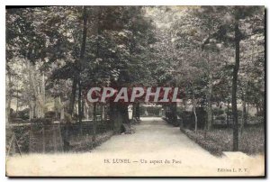 Old Postcard Lunel One aspect of the Park