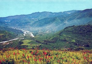 VINTAGE CONTINENTAL POSTCARD OROSI VALLEY REVENTAZON RIVER CARTAGO COSTA RICA