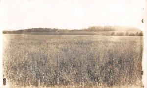 Brighton Iowa Oat Fields Real Photo Antique Postcard K33734