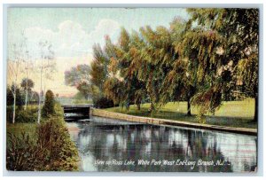 1907 View On Ross Lake White Park West End Long Branch New Jersey NJ Postcard