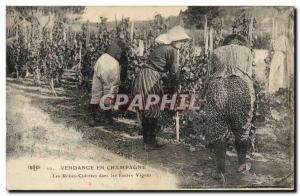 Old Postcard Folklore Harvest Vine Champagne Panties dresses in high Yonne Vi...