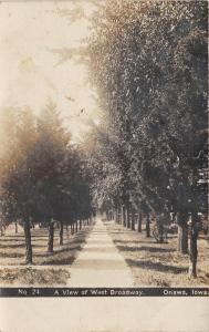 Onawa Iowa~View of West Broadway Sidewalk~Rows of Trees~c1910 RPPC-Postcard