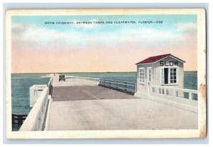 1907-10 Davis Causeway, Between Tampa And Clearwater, Fla. Postcard F126E