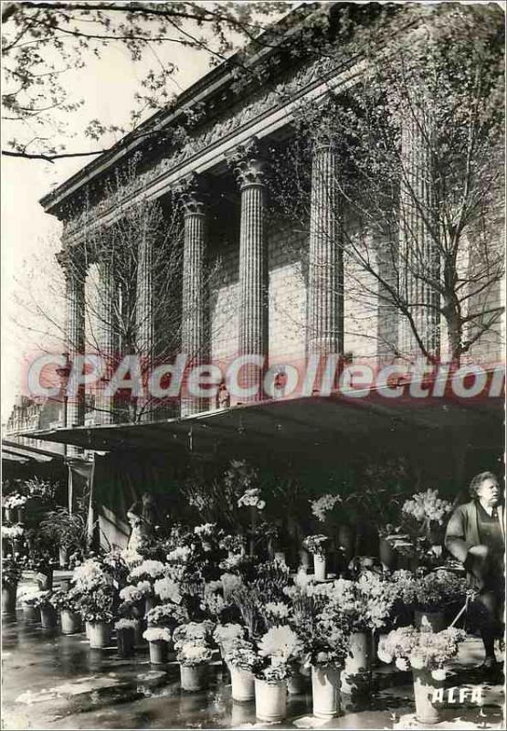 Modern Postcard The Paris march to Place Flowers Madeleine
