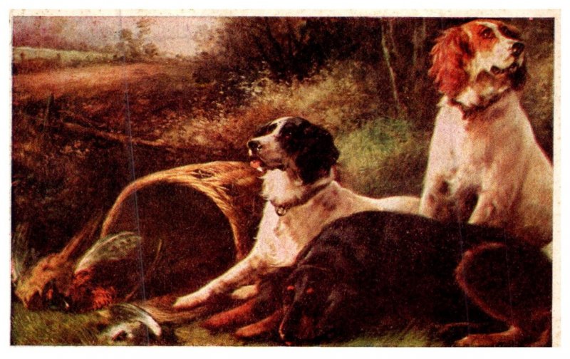 Dog , Hunting Dogs