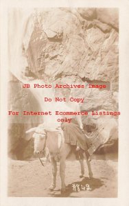 CO, Colorado Springs, Colorado, RPPC, Seven Falls, Woman On Donkey, Photo No 842