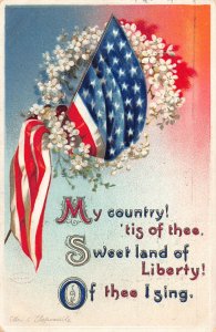 US Patriotic 1912 Ellen Clapsaddle Art Flag Flowers embossed postcard B986