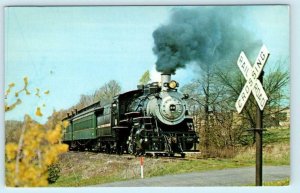 FLEMINGTON, NJ~ BLACK RIVER & WESTERN Railroad Copper Hill Trestle 1966 Postcard