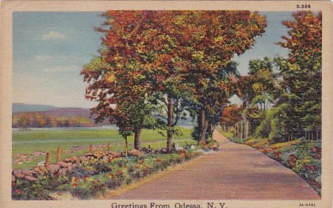 New York Greetings From Odessa 1950 Curteich