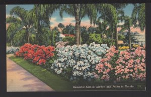 Florida Beautiful Azalea Garden and Palms pm1960 ~ Linen