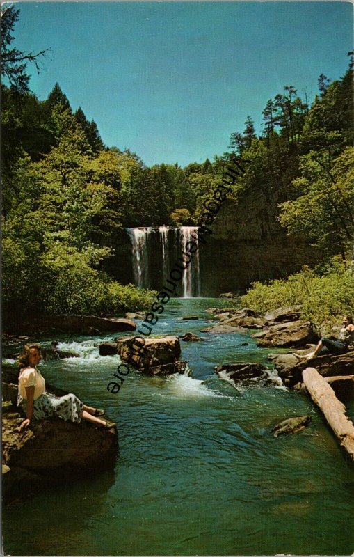 Great Smoky Mtns. Stream Showing Waterfalls & Rapids TN Postcard PC237