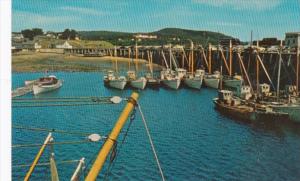 Canada Nova Scotia Digby Scallop Fleet With Digby Pines Hotel In Background