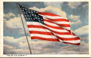 Patriotic American Flag Old Glory 1917