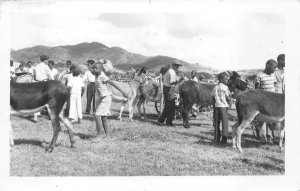 RPPC DONKEYS LIVESTOCK CHILDREN BLACK AMERICANA REAL PHOTO POSTCARD (1955)