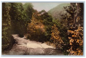 c1940s Allegheny Mountains View Near Oakland Maryland MD Unposted Trees Postcard