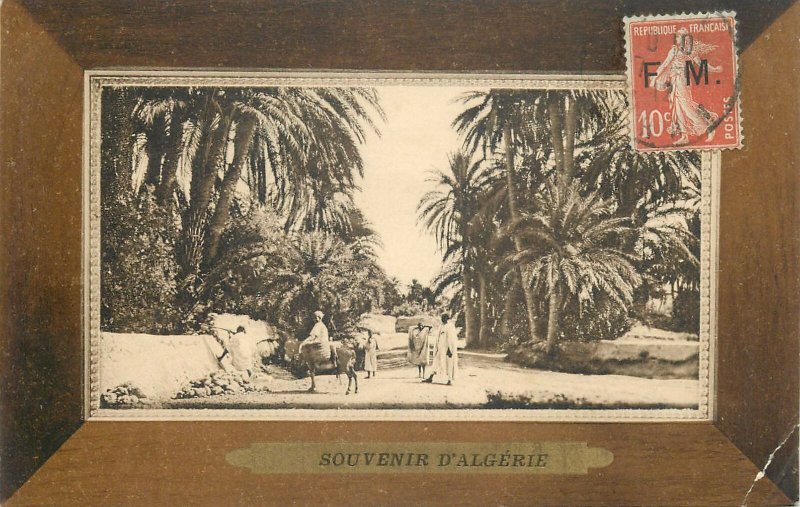 Algeria souvenir Postcard ethnic types and scenes donkey ride typical costumes