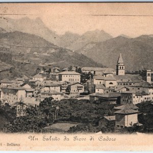 c1900s Pieve di Cadore, Belluno, Italy Greeting Birds Eye Collotype Postcard A81