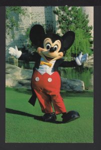 Florida Walt Disney World - WELCOME! Mickey Mouse Symbol of Disney ~ Chrome