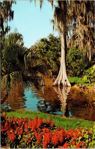 Greetings From FL Florida Tropical Wonderland Postcard VTG UNP Dexter Vintage 