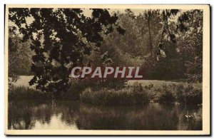 Old Postcard Avallon Ombrages Au Bord Du Cousin