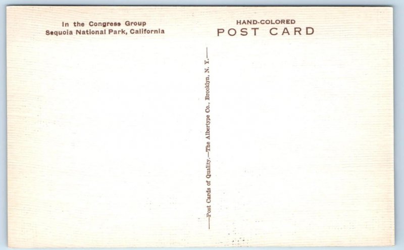 SEQUOIA NATIONAL PARK, CA California~ CONGRESS GROUP c1930s Handcolored Postcard