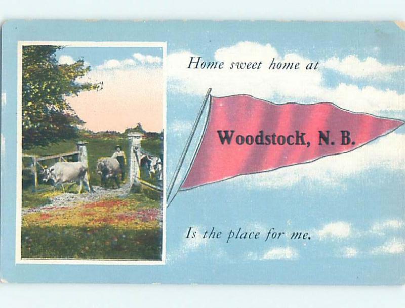 Divided-Back PENNANT POSTCARD Woodstock New Brunswick NB HM5258